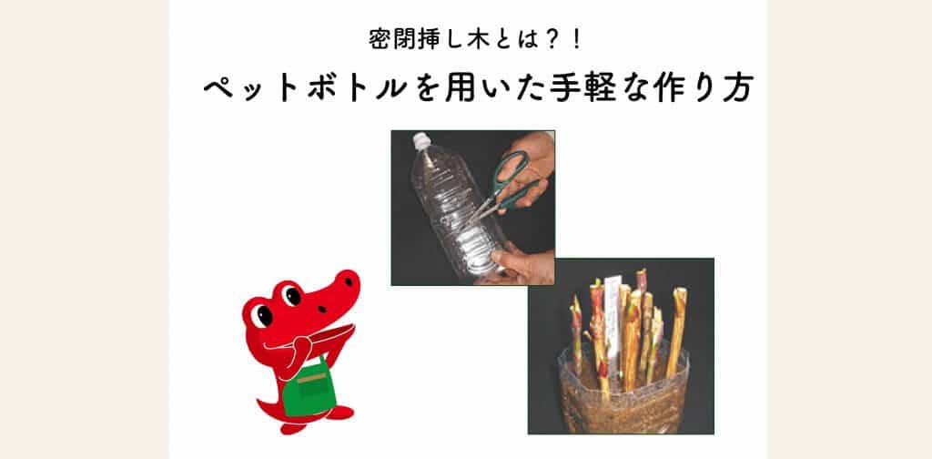 春の園芸作業 密閉挿し木とは ペットボトルを用いた手軽な作り方 切るを楽しむ アルスコーポレーション株式会社