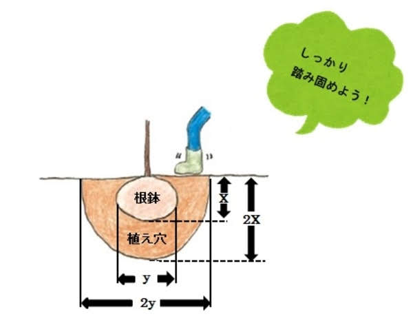 苗木の植え付けのイラスト