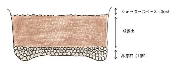 プランターに鉢底石と培養土を入れる