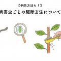 【予防方法も！】病害虫ごとの駆除方法について