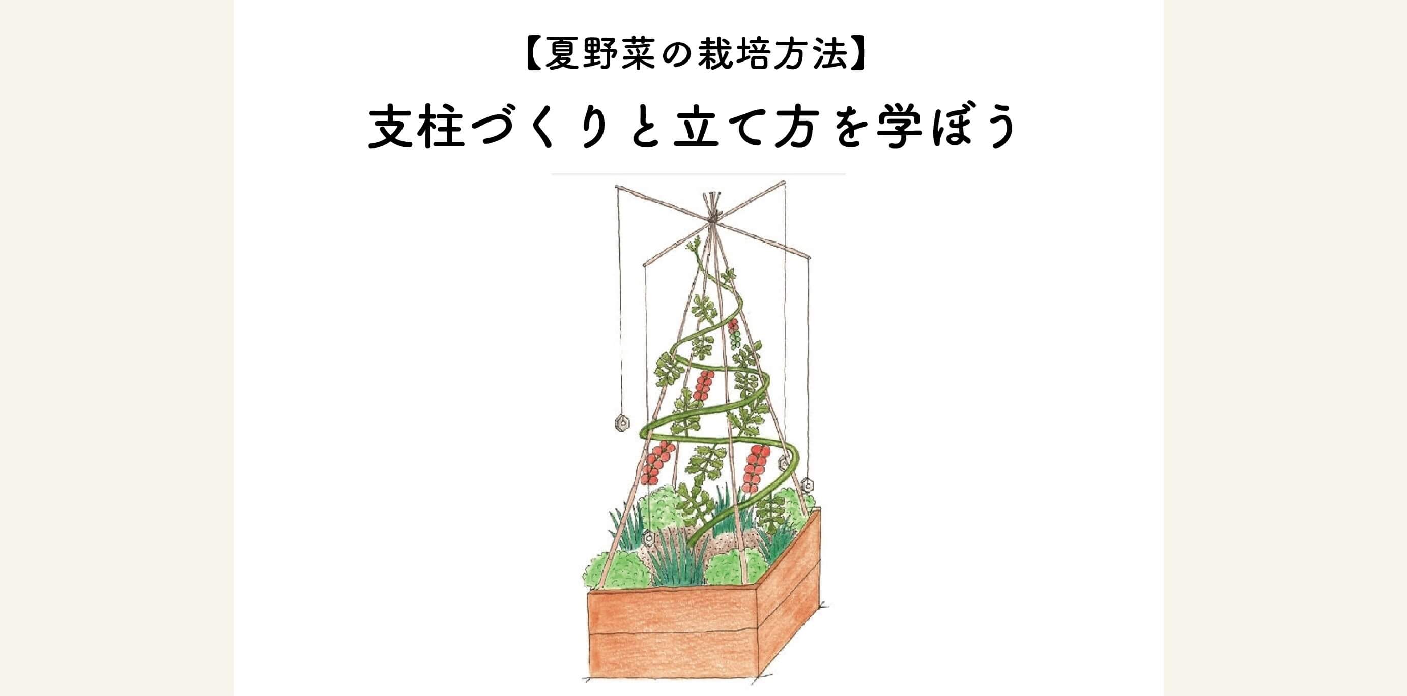 【夏野菜の栽培方法】支柱づくりと立て方を学ぼう