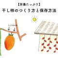 栄養豊富！干し柿の作り方と保存方法