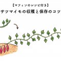 マフィンのレシピ付き！サツマイモの収穫と保存のコツ