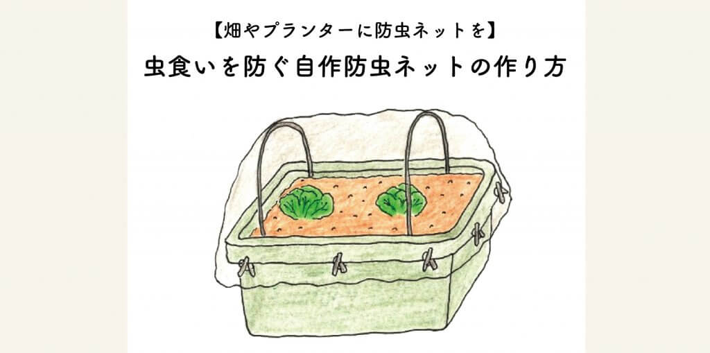 畑やプランターに防虫ネットを 無農薬栽培での虫食いを防ぐ自作防虫ネットのつくり方 切るを楽しむ アルスコーポレーション株式会社 畑やプランターに防虫ネットを 無農薬栽培での虫食いを防ぐ自作防虫ネットのつくり方 切るを楽しむ アルスコーポレーション株式会社