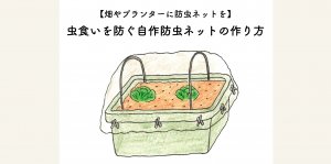 畑やプランターに防虫ネットを！虫食いを自作防虫ネットの作り方