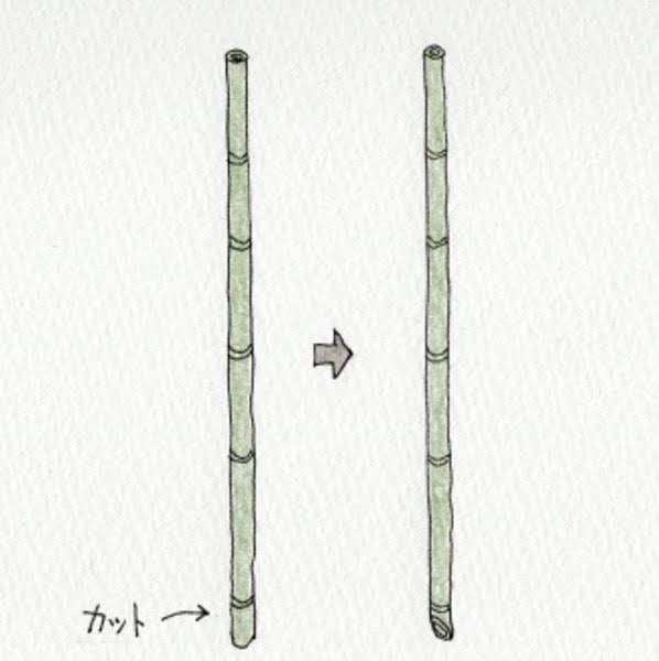 夏野菜栽培用の竹支柱