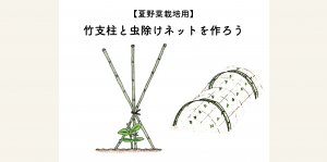 竹支柱と虫除けネットの作り方