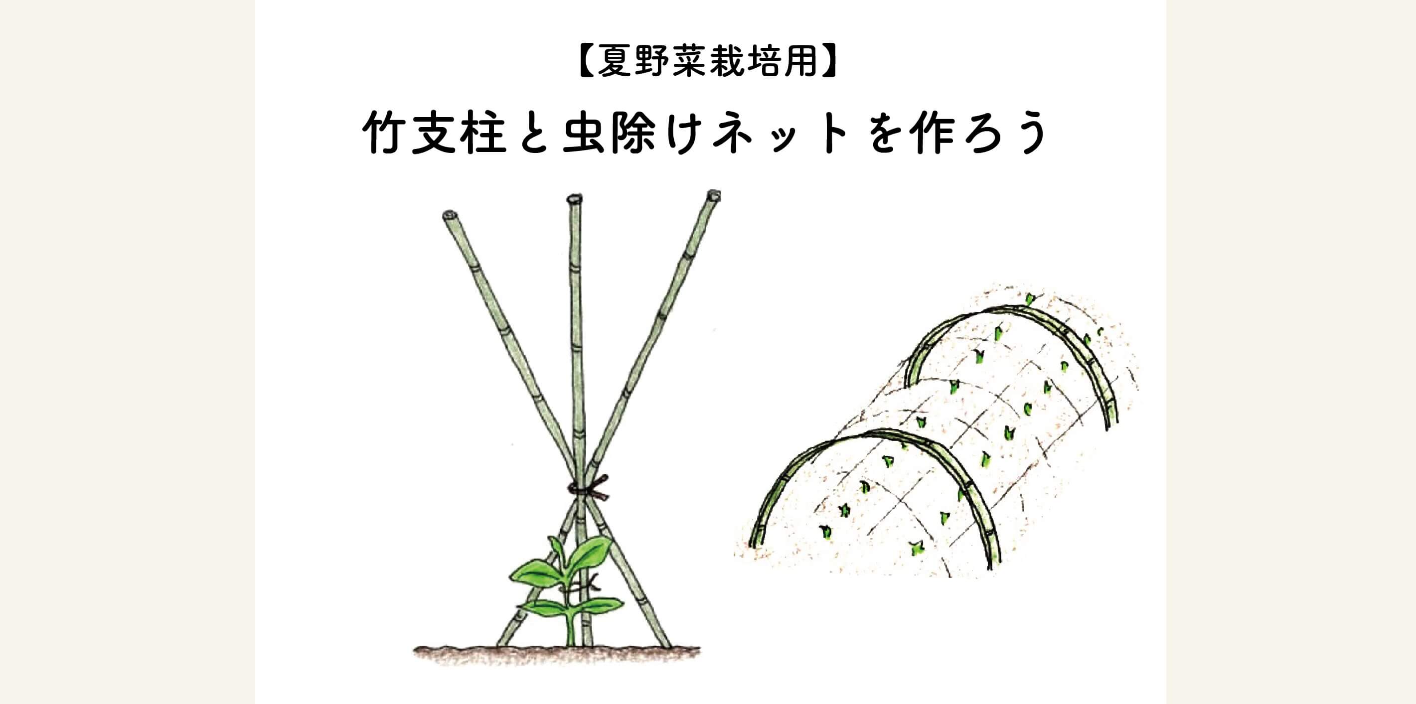【見た目も綺麗で美しい】夏野菜栽培用の竹支柱と虫よけネットをつくろう！