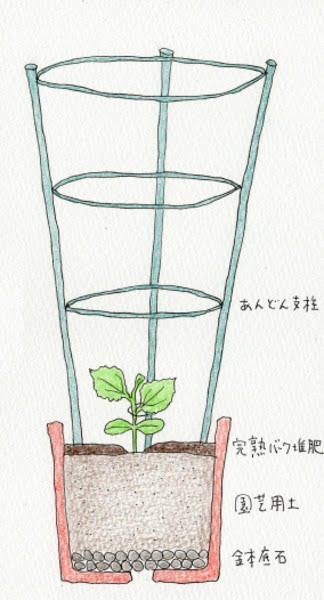 ミニキュウリのプランター断面図