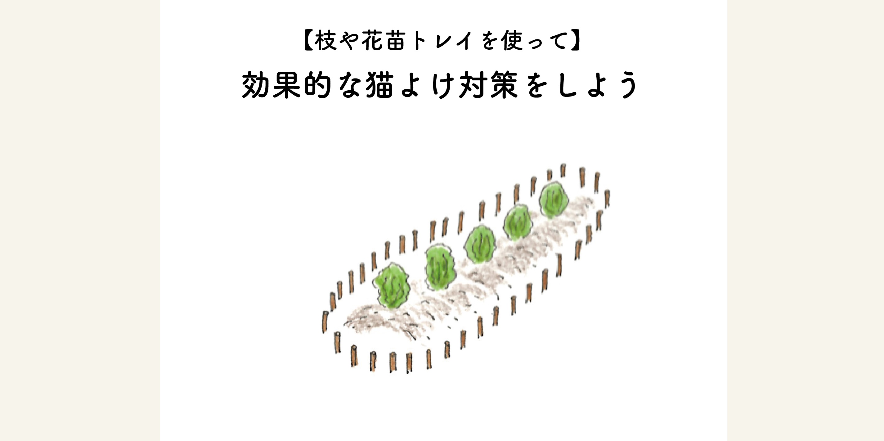 　【枝や花苗トレイを使って】効果的な猫よけ対策をしよう