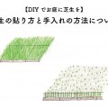 DIYでお庭に芝生を！芝生の貼り方と手入れ方法について