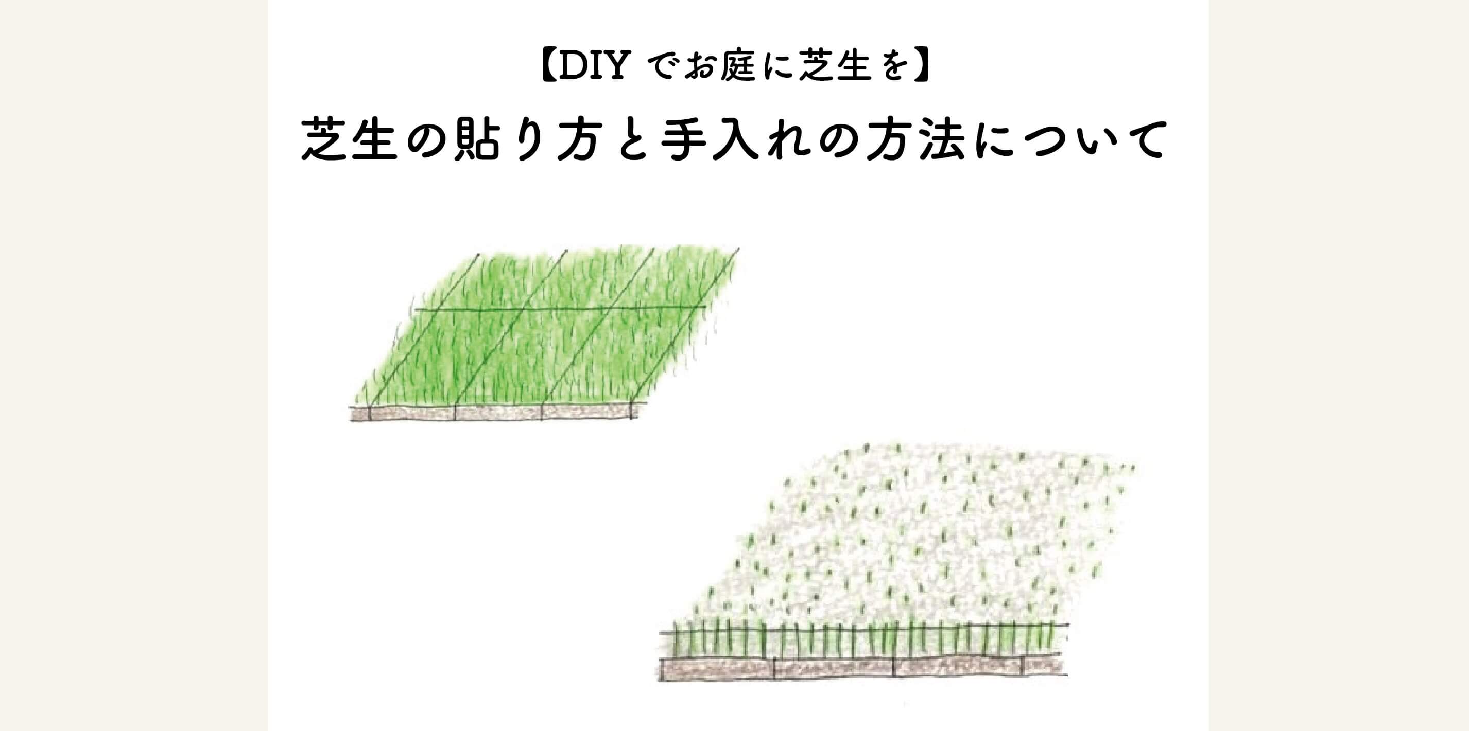 【DIYでお庭に芝生を】芝生の張り方と手入れの方法について