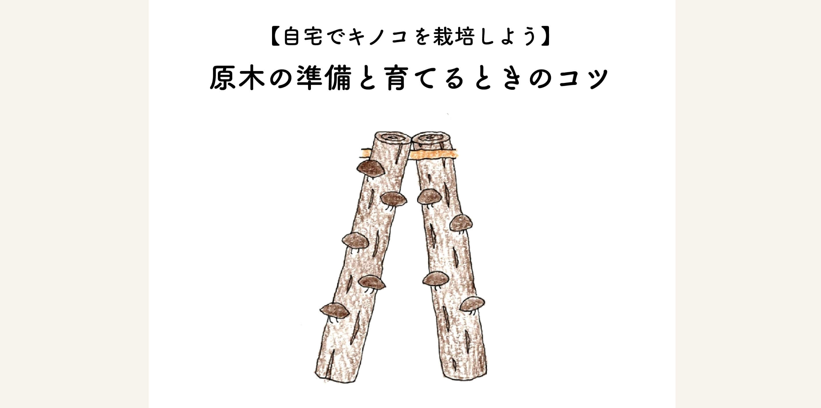 【自宅でキノコを栽培しよう】原木の準備と育てるときのコツ