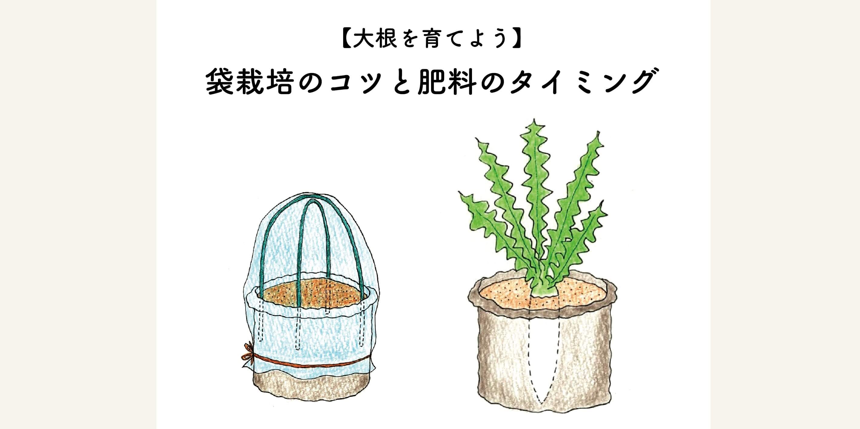 【大根を育てよう】袋栽培のコツと肥料のタイミング