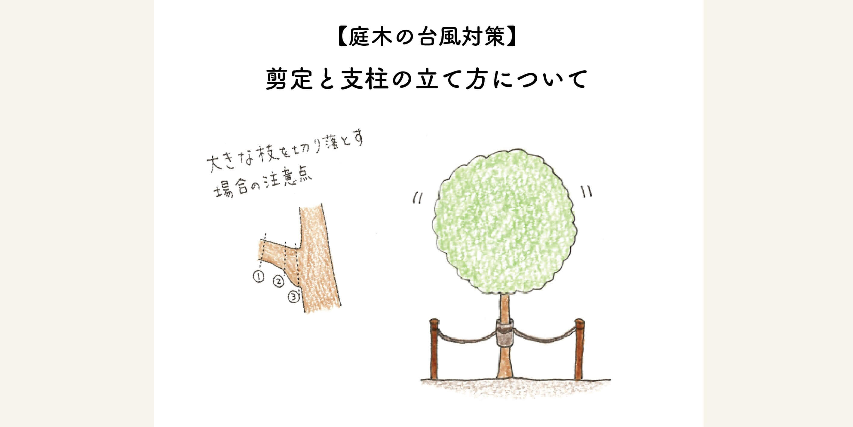 【庭木の台風対策】剪定と支柱の立て方について