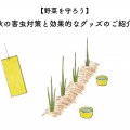 野菜を守ろう！秋の害虫対策と効果的なグッズ