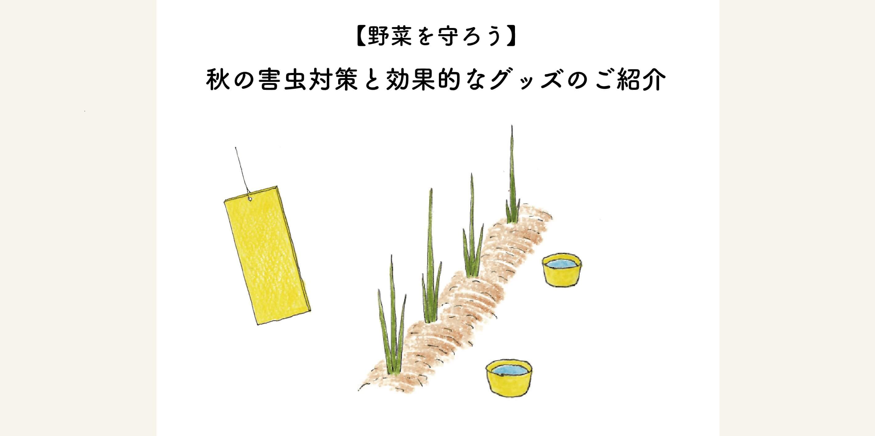 【野菜を守ろう！】秋の害虫対策と効果的なグッズのご紹介