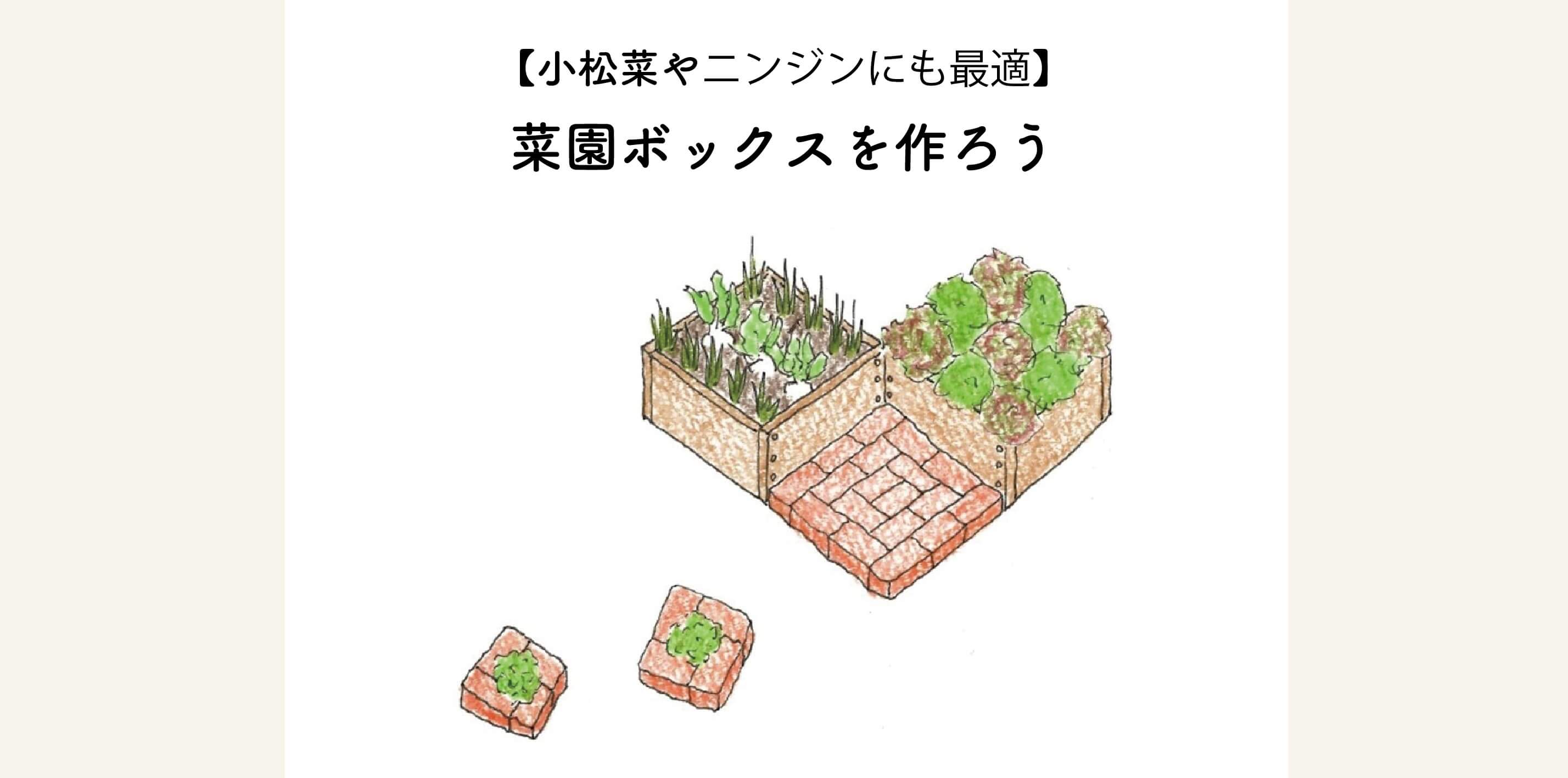 　【小松菜やニンジンにも最適】菜園ボックスを作ろう
