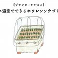 ミニ温室でできるホウレンソウづくり