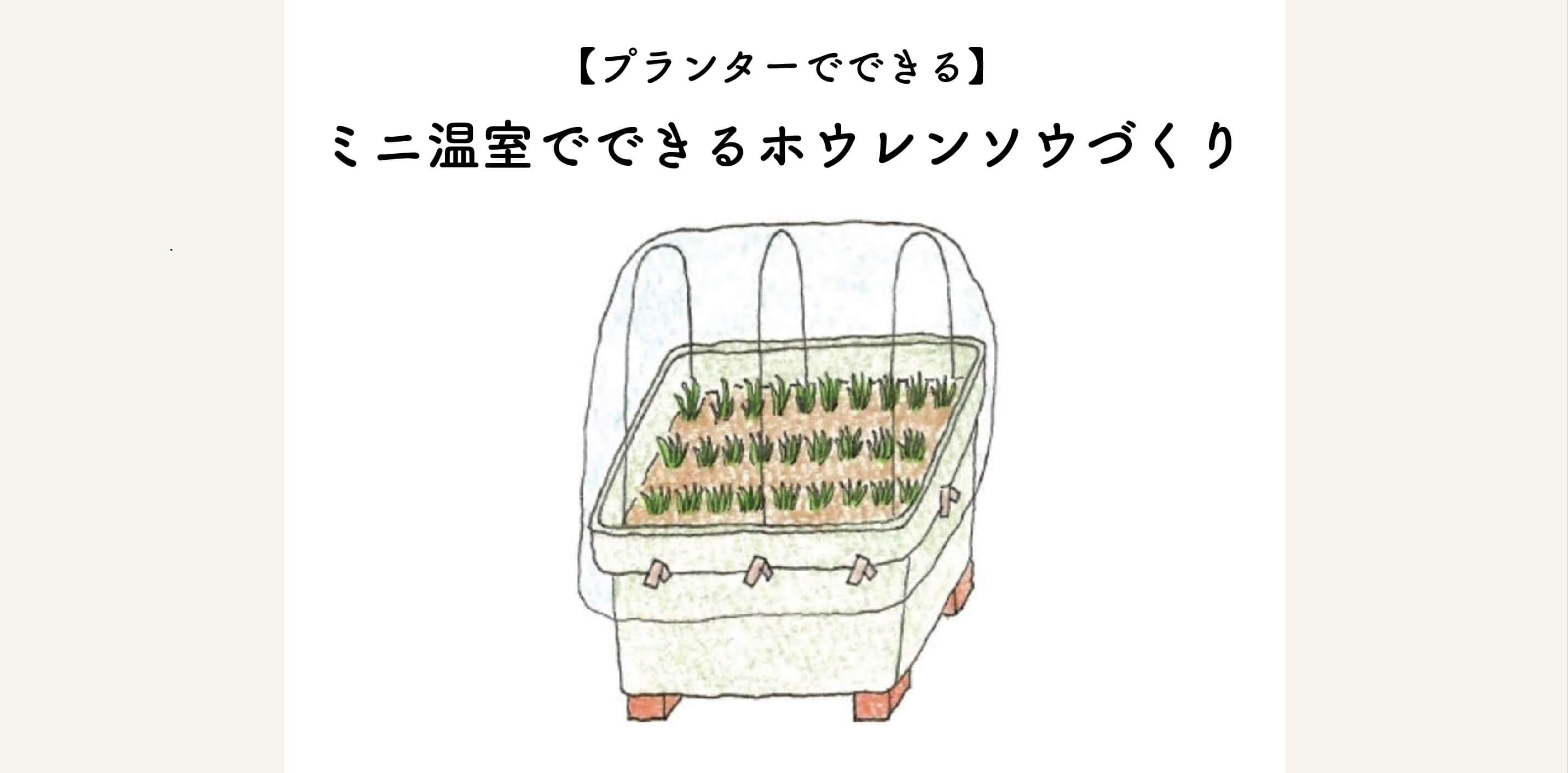 　【プランターでできる】ミニ温室でホウレンソウづくり