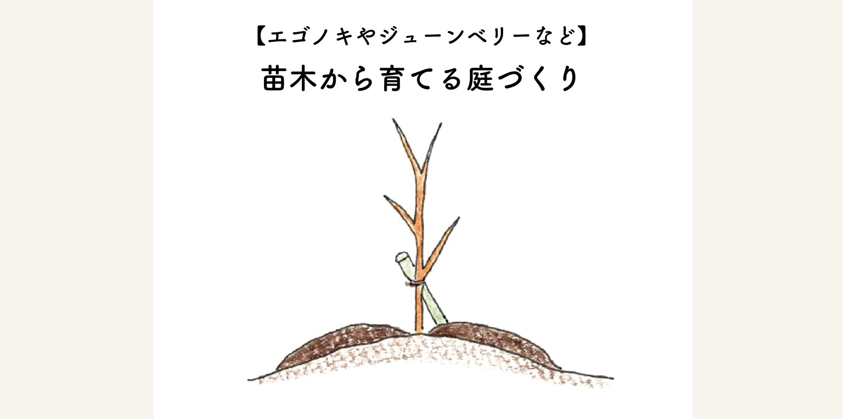 　【エゴノキやジューンベリーなど】苗木から育てる庭づくり