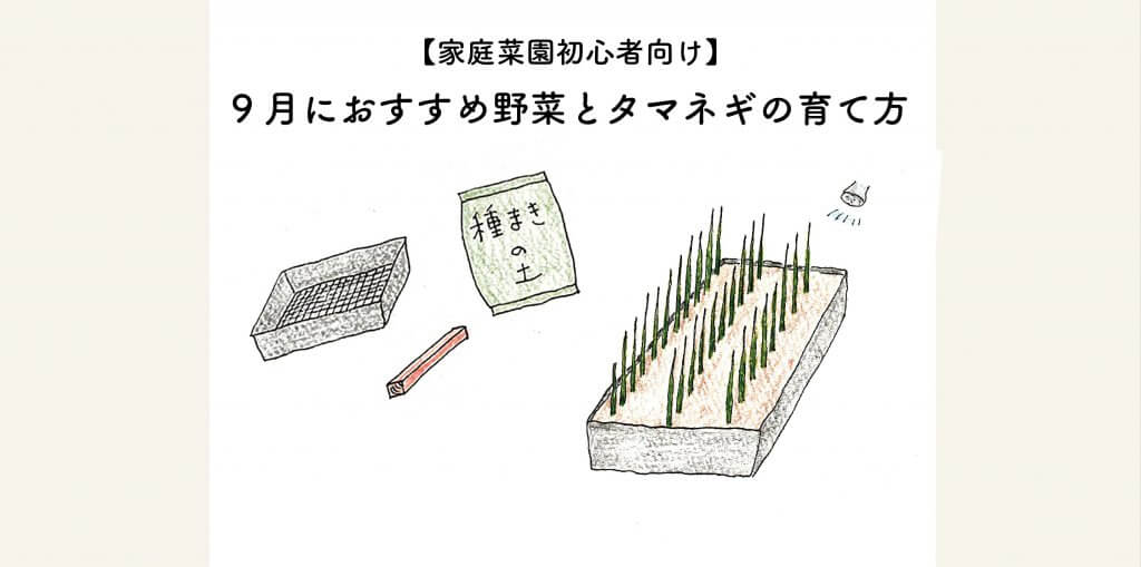 9月におすすめ秋冬野菜と極早生タマネギの栽培について 切るを楽しむ アルスコーポレーション株式会社 9月におすすめ秋冬野菜と極早生タマネギの栽培について 切るを楽しむ アルスコーポレーション株式会社