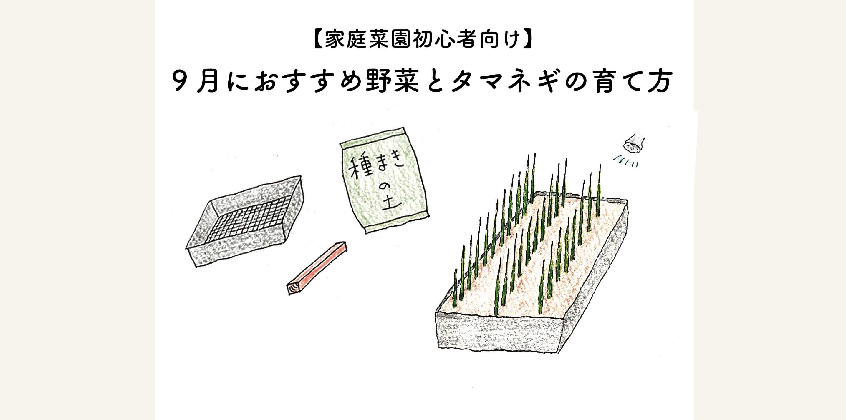 9月におすすめ秋冬野菜と極早生タマネギの栽培について