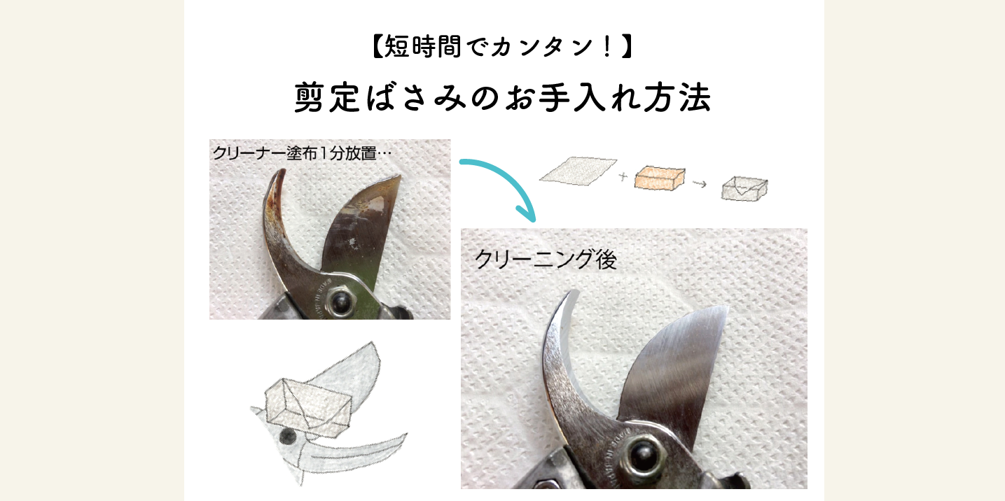 剪定ばさみの簡単で時間のかからないお手入れ方法