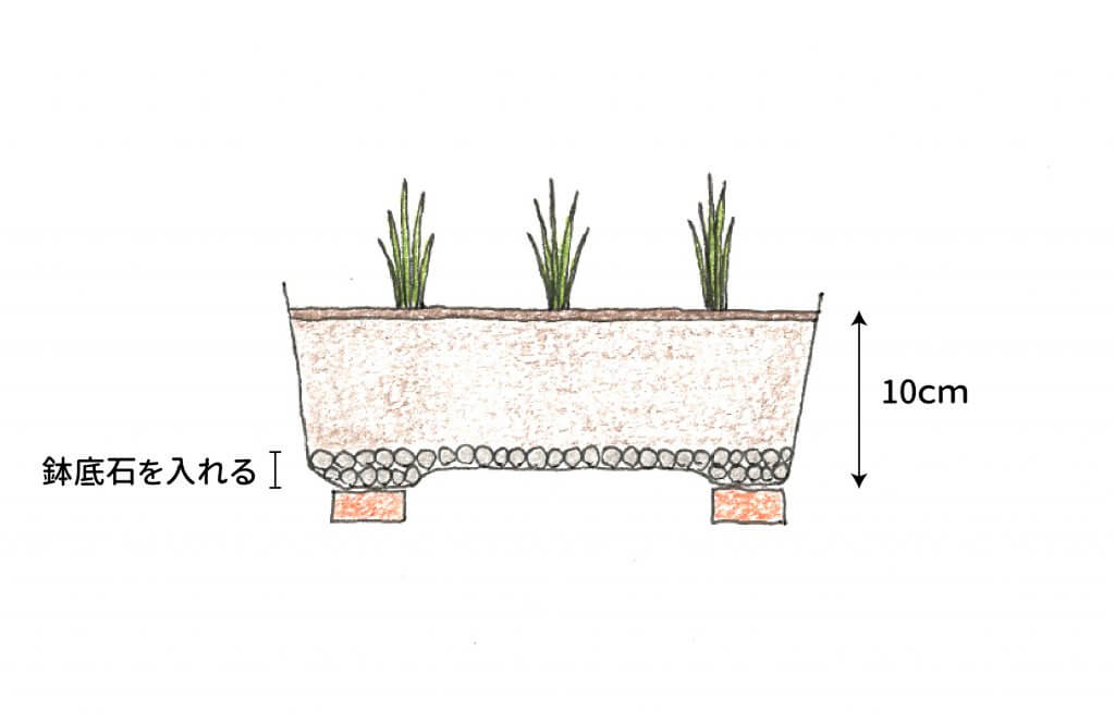 チャイブを植えたプランターのイラスト