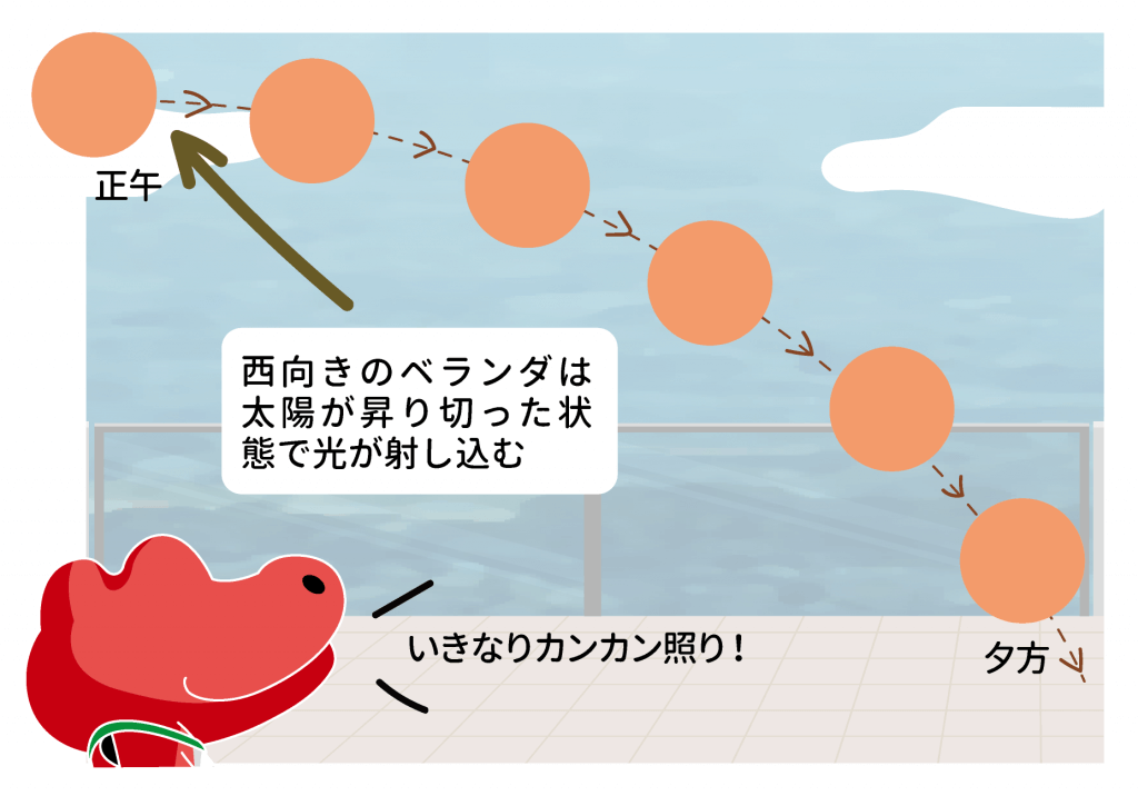 ベランダの特性を調べよう 後半 ベランダの方角とガーデニングのコツ 切るを楽しむ アルスコーポレーション株式会社 ベランダの特性を調べよう 後半 ベランダの方角とガーデニングのコツ 切るを楽しむ アルスコーポレーション株式会社