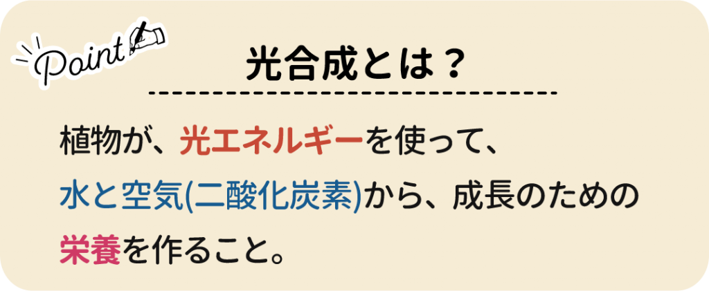 光合成とは