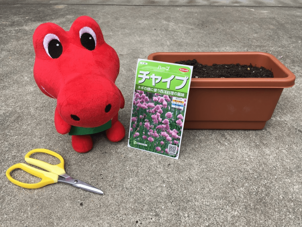 レモン・ブルーベリーを鉢植えで育てよう（アルスケの近況・チャイブ栽培1）