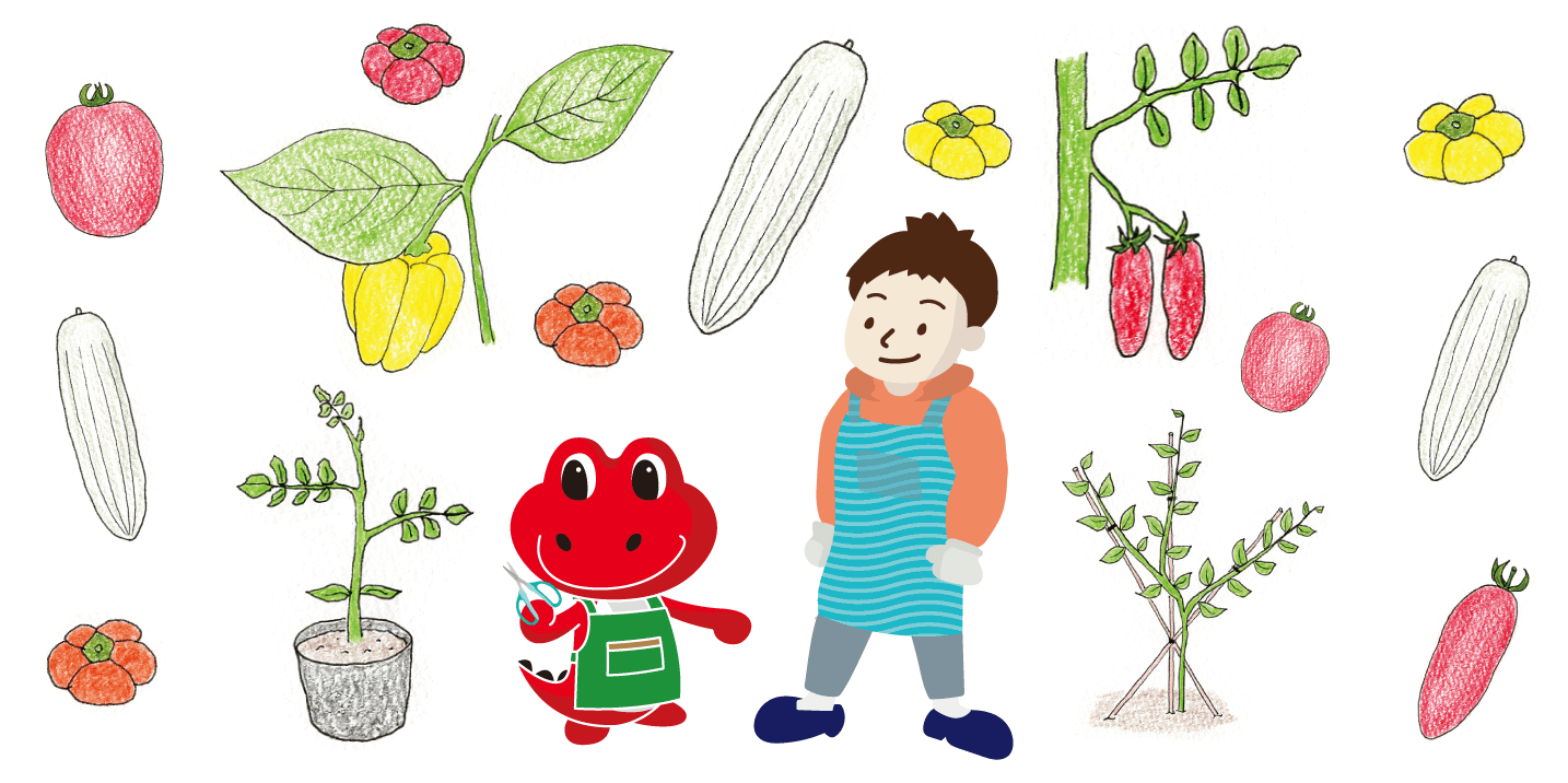 ミニパプリカ・ミニキュウリ・イタリアントマトの育て方（イラスト解説）｜5月に植えるプランター野菜