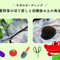 夏野菜の切り戻しと収穫後の土の再生