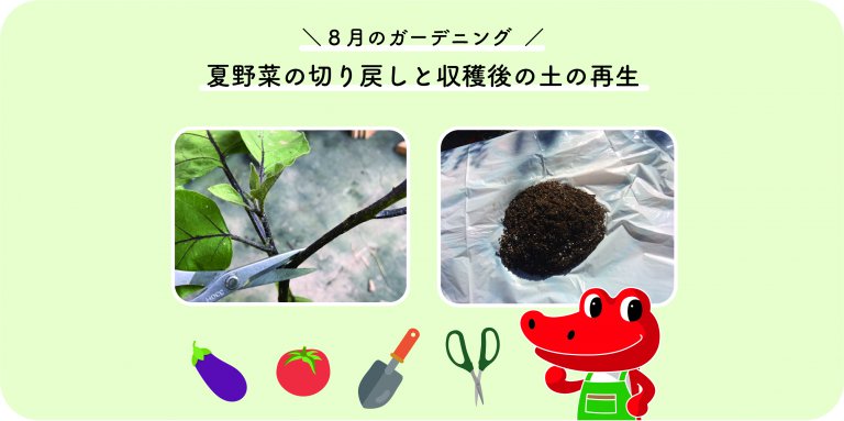 夏野菜の切り戻しと収穫後の土の再生