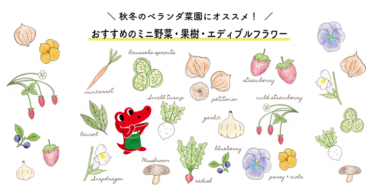 秋冬のベランダ菜園におすすめのミニ野菜、果物、エディブルフラワー12選