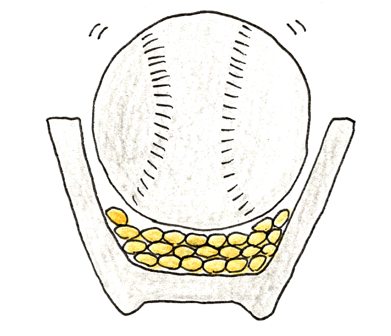 バケツ稲の育て方 ～稲刈りとカンタン脱穀～　野球ボールを使った脱穀法右方のイラスト１