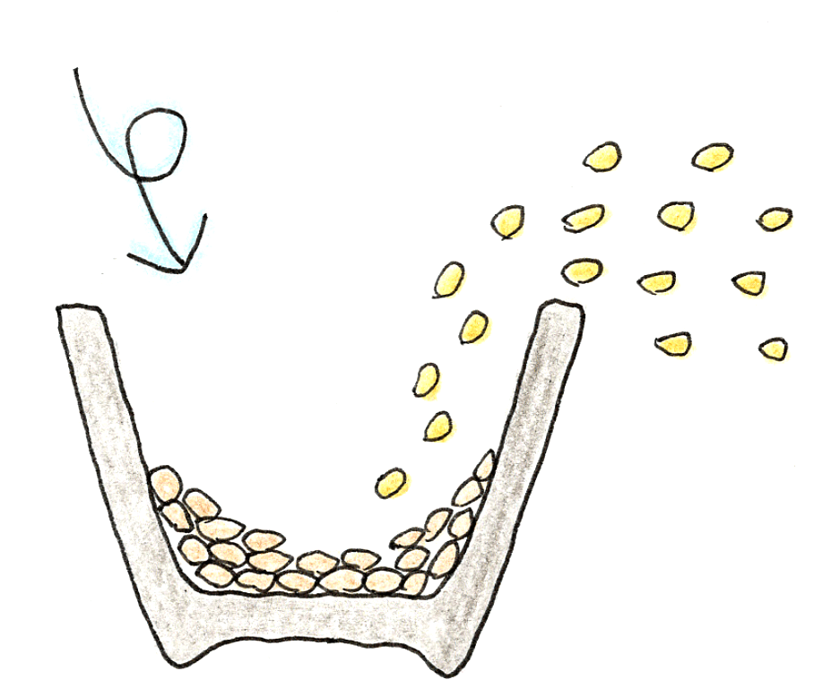 バケツ稲の育て方 ～稲刈りとカンタン脱穀～　野球ボールを使った脱穀法右方のイラスト２