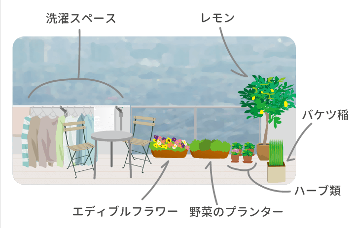 ベランダガーデニングの植物配置アイディアのイラスト