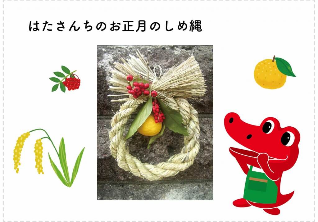 収穫した稲で作ったお正月のしめ縄