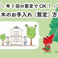 庭木のお手入れ（剪定）方法【年1回の剪定でOK！】