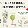 くだもの苗を盆栽風に！「果樹盆栽」のすすめ