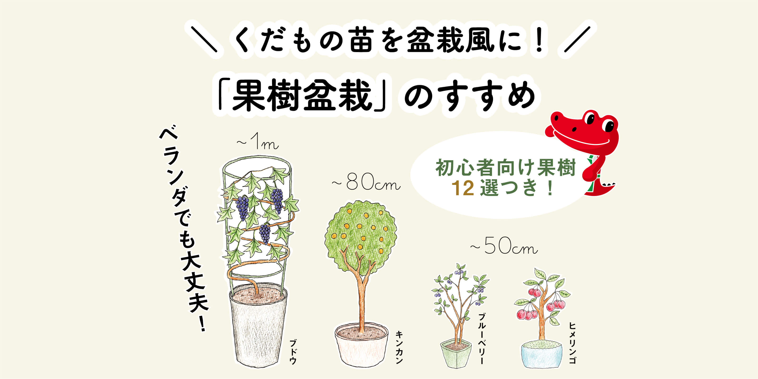 くだもの苗を盆栽風に 果樹盆栽 のすすめ 初心者向け果樹12選付き 切るを楽しむ アルスコーポレーション株式会社