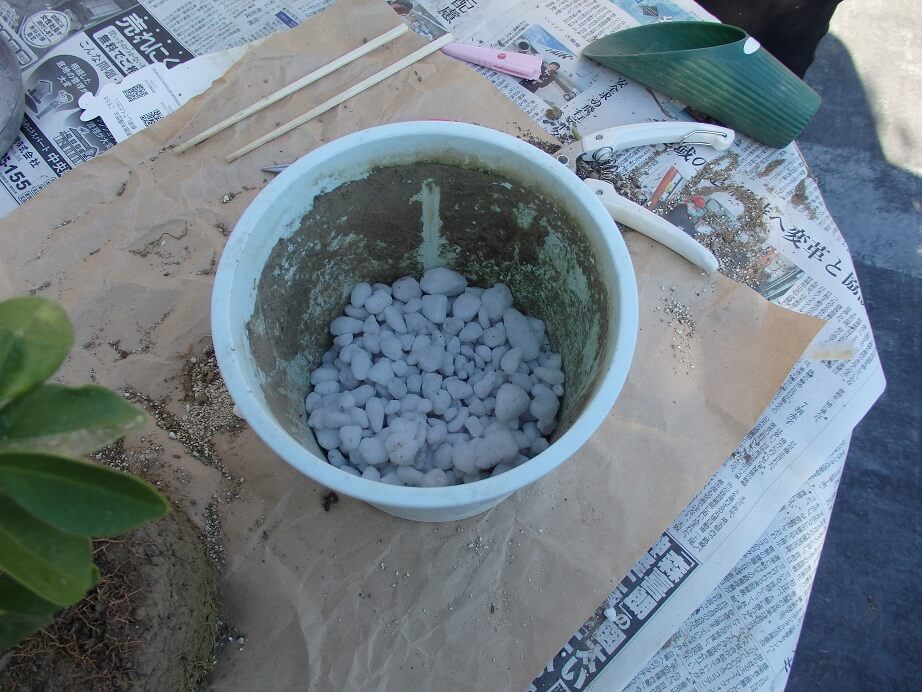大実キンカン苗-植え替え-鉢に鉢底を入れた写真