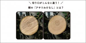 アサリわけなし_アイキャッチ