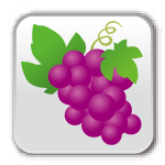 Vinicultura