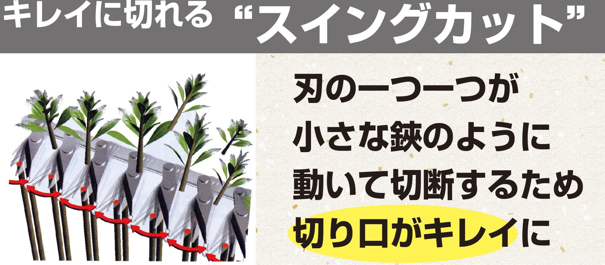 特長②　最大切断径15mm（生木）の切断も実現